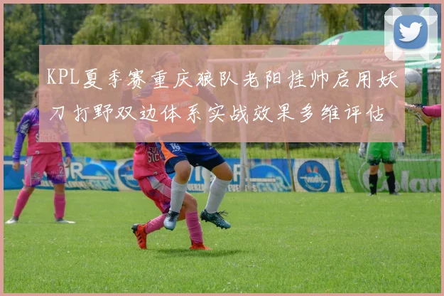 KPL夏季赛重庆狼队老阳挂帅启用妖刀打野双边体系实战效果多维评估